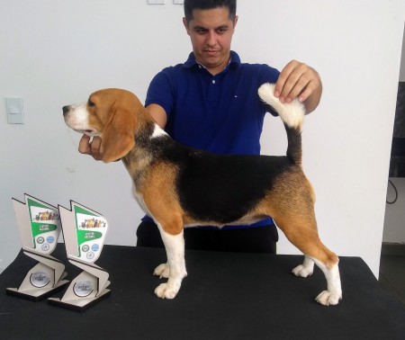 Forte Rio Negro Lagertha